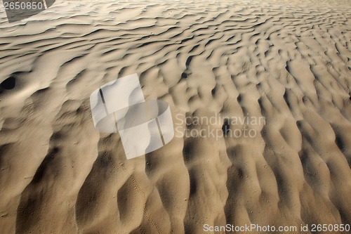 Image of Sand in Sahara desert
