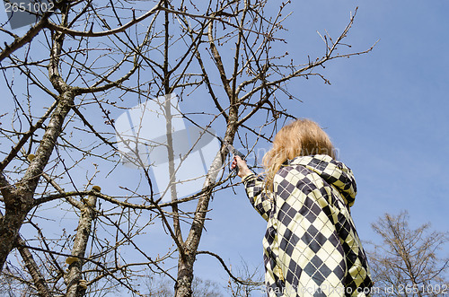 Image of girl cut fruit branch with handsaw in spring time 