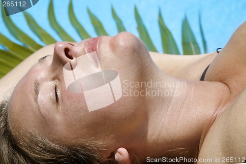 Image of Sunbather