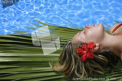 Image of Sunbather