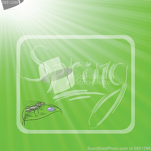 Image of spring background