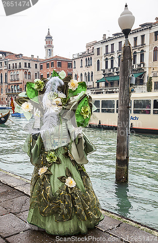 Image of Complex Green Venetian Disguise