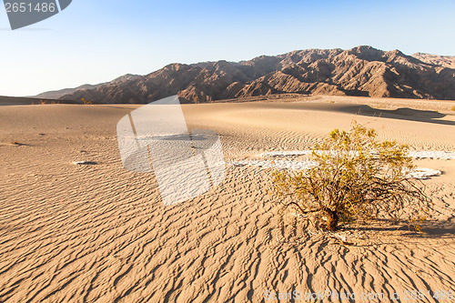 Image of Death Valley Desert