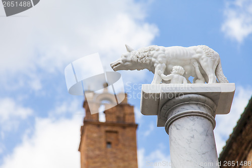 Image of Wolf with Romolo and Remo