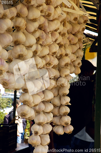 Image of Garlic Braids (Allium sativum)