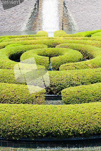 Image of Garden Maze