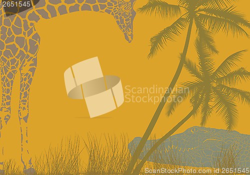 Image of Safari animal background