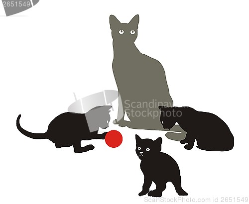 Image of Cat Family at play