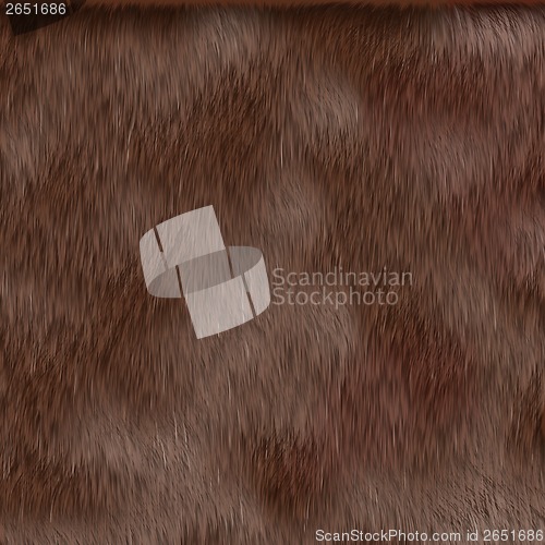 Image of brown hair texture