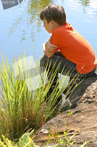 Image of Child watching fish