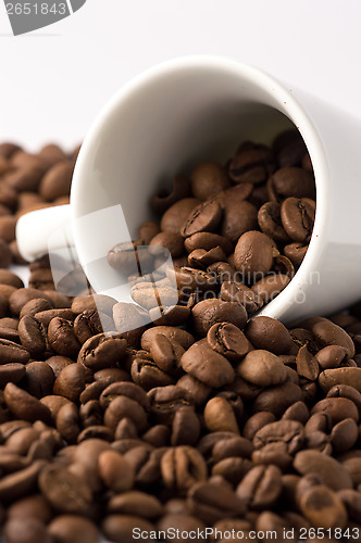 Image of coffee beans