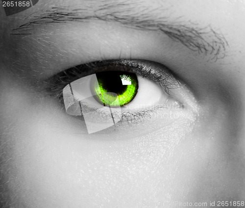 Image of Beautiful eye 