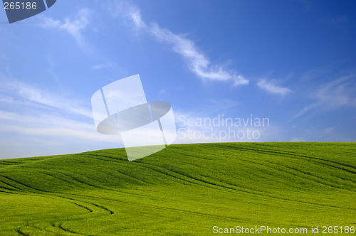 Image of Green hill and blue cloudy sky.