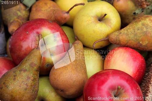 Image of Apples and pears