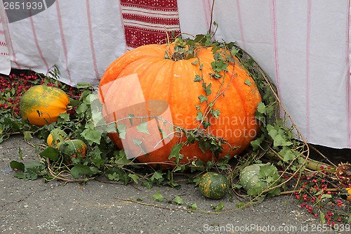 Image of Thanksgiving Pumpkin Scene