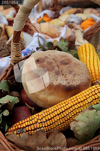 Image of Autumn Harvest