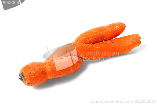 Image of Double Carrot