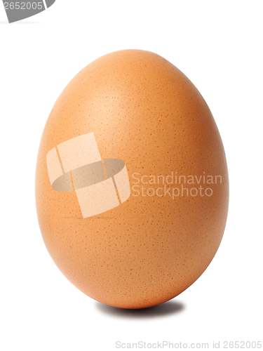 Image of Egg of Columbus