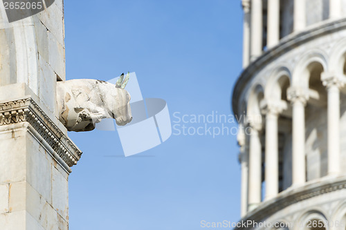 Image of Closeup sculpture Pisa