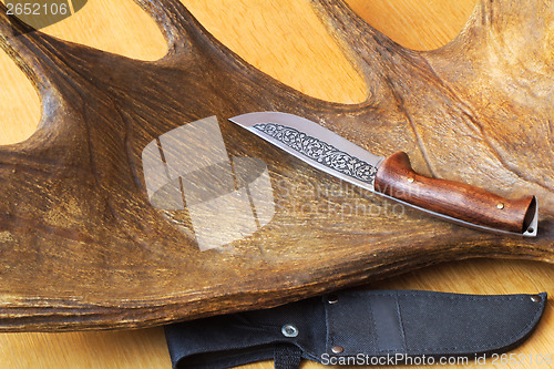 Image of Hunting knife sheath and a trophy hunter - big elk horn.