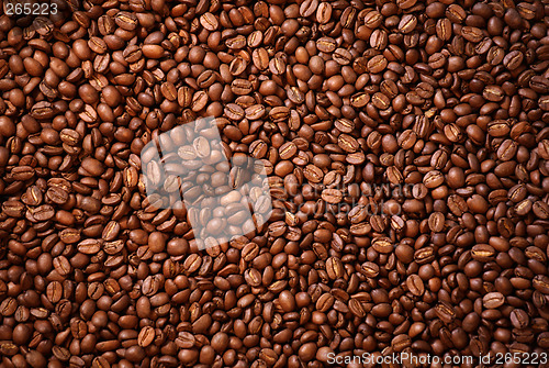 Image of large amount of aromatic coffee beans