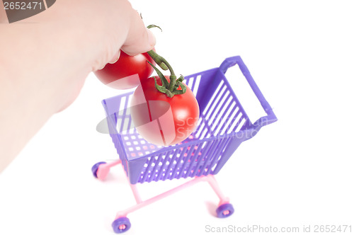 Image of Hands putting tomatoes into shopping-cart