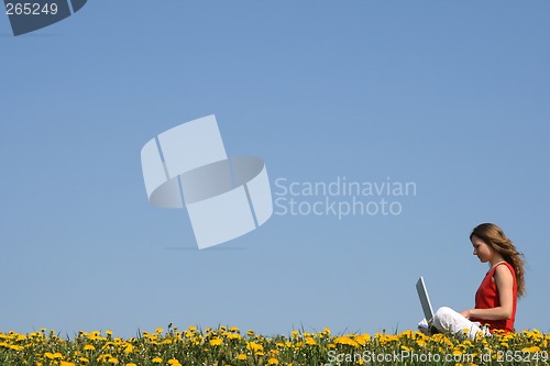 Image of Girl working with laptop in a flowering field