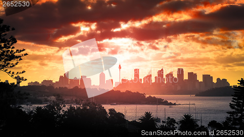 Image of Sydney Sunset