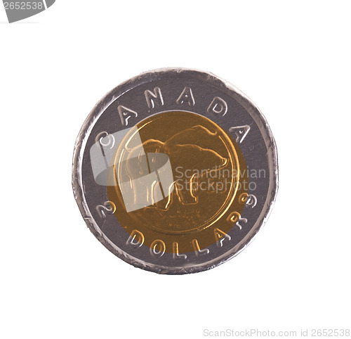 Image of Canadian dollar, chocolate coins