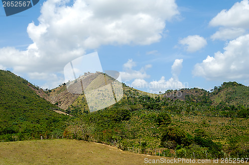 Image of Green nature