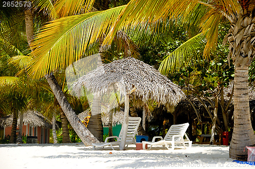 Image of Paradise beach with palms and sunbeds