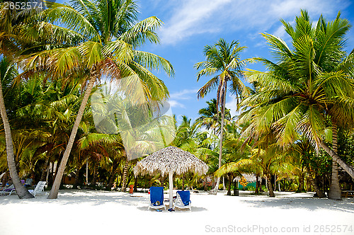 Image of Paradise beach with palms and sunbeds