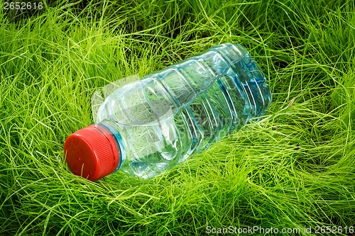 Image of Water bottle on the grass.