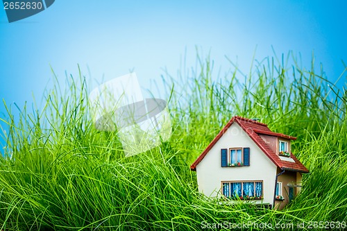 Image of House on the green grass