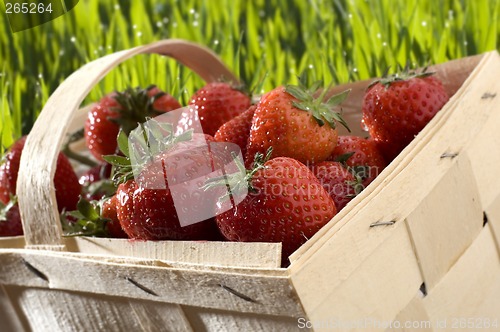 Image of strawberry