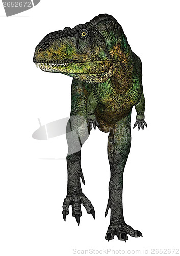 Image of Dinosaur Aucasaurus