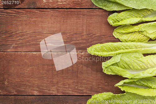 Image of romaine lettuce leaves