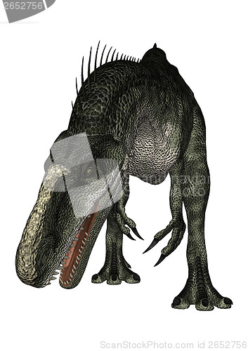 Image of Dinosaur Monolophosaurus