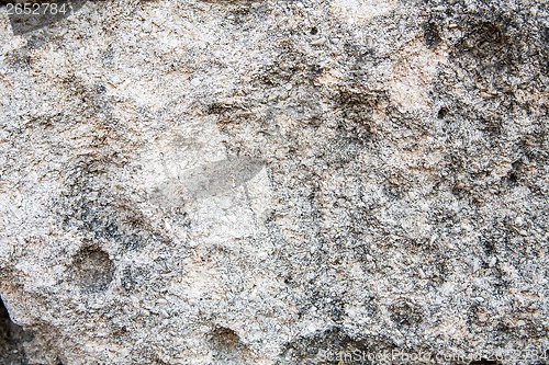 Image of Wet stone sea coast in the background.