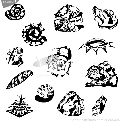Image of graphical shells, stones and a fir cone