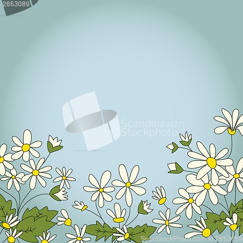 Image of Card with the image of daisies camomile