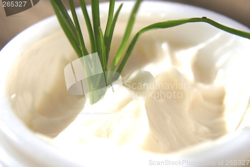 Image of Cream