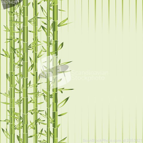 Image of green bamboo with stripe