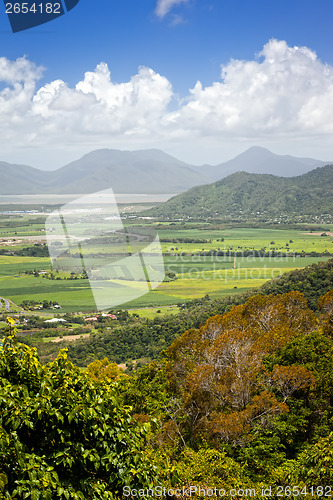 Image of Meadow Australia