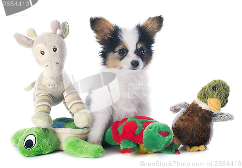 Image of papillon puppy and toys