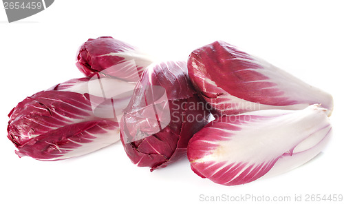 Image of chicory carmine