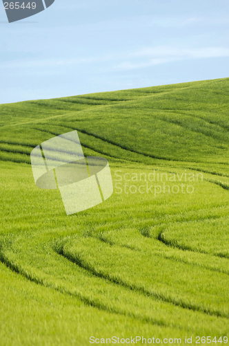 Image of Green hill and blue sky