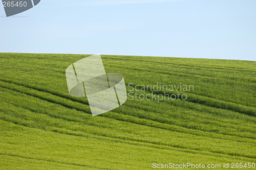 Image of Tracks on hill