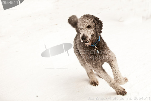 Image of Girl sledging