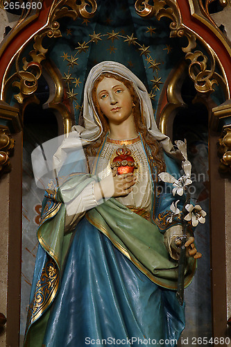 Image of Immaculate Heart of Mary